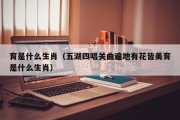 育是什么生肖（五湖四唱关曲遍地有花皆美育是什么生肖）