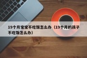 19个月宝宝不吃饭怎么办（19个月的孩子不吃饭怎么办）