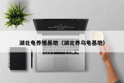 湖北龟养殖基地（湖北养乌龟基地）