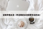 泥鳅养殖水池（养泥鳅的水池需要多深的水）