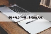 池塘养殖龙虾效益（水池养殖龙虾）