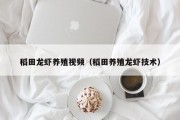 稻田龙虾养殖视频（稻田养殖龙虾技术）
