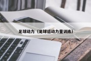 足球动力（足球运动力量训练）