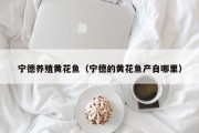 宁德养殖黄花鱼（宁德的黄花鱼产自哪里）
