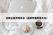 泥鳅全套养殖技术（泥鳅养殖教程大全）
