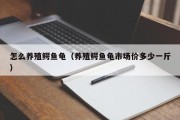 怎么养殖鳄鱼龟（养殖鳄鱼龟市场价多少一斤）