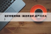 龙虾养殖视频藕（藕池养龙虾,亩产30万元）