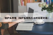 饭铲头养殖（饭铲头咬伤几小时出现中毒）