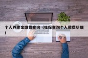 个人养老金缴费查询（社保查询个人缴费明细）
