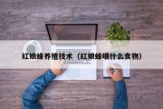 红娘蜂养殖技术（红娘蜂喂什么食物）