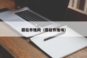 蘑菇养殖网（蘑菇养殖场）