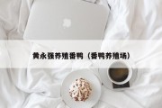 黄永强养殖番鸭（番鸭养殖场）