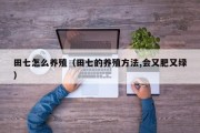 田七怎么养殖（田七的养殖方法,会又肥又绿）